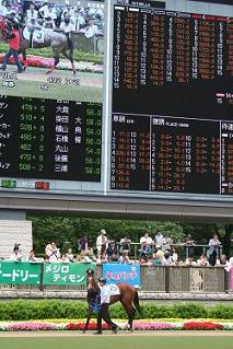 f0069890_2351738.jpg