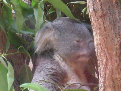 f0152892_23522999.jpg