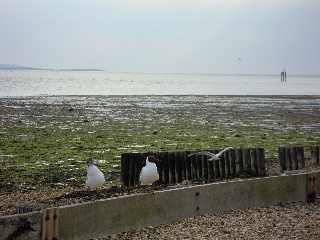 c0114797_1865356.jpg