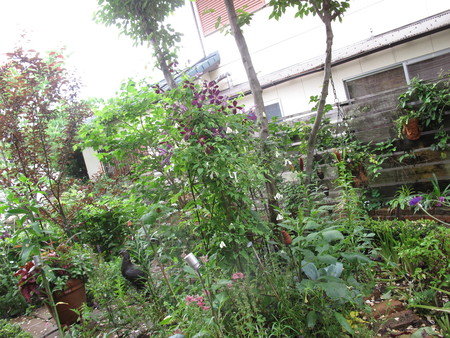 f0178897_18365981.jpg