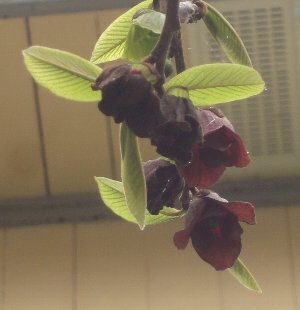 e0122199_1271733.jpg