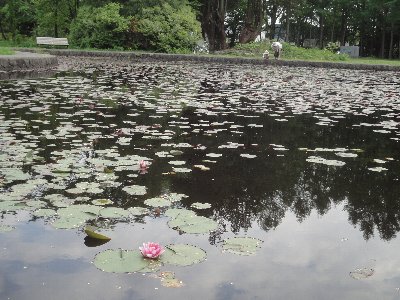 e0122199_129159.jpg