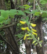 e0122199_1294685.jpg