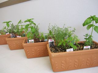 c0152002_11521121.jpg