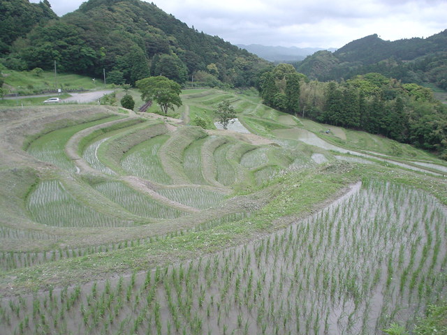 a0116205_2243027.jpg