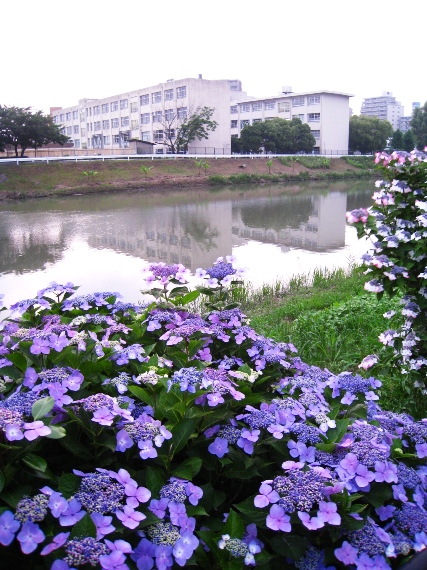 a0097006_21252970.jpg