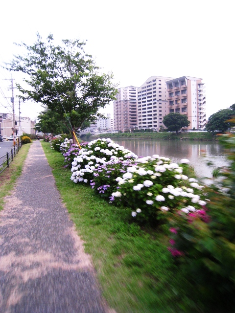 a0097006_21264448.jpg
