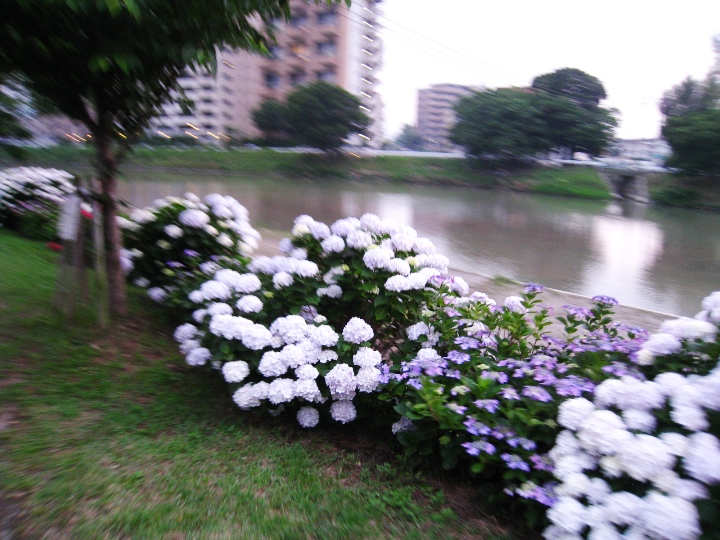 a0097006_21272922.jpg