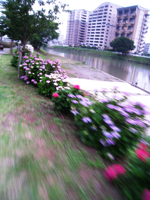 a0097006_2127957.jpg