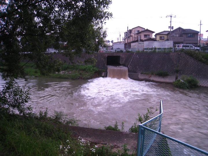 a0097006_2130769.jpg