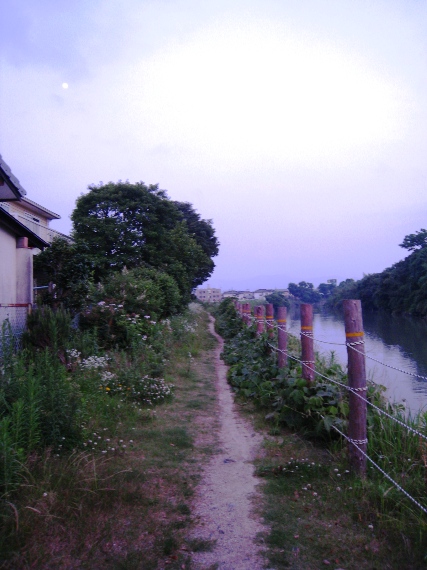 a0097006_21324210.jpg
