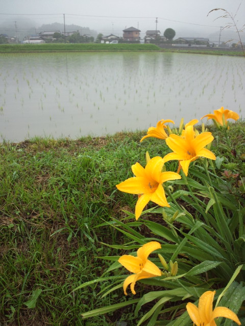 f0231709_112561.jpg