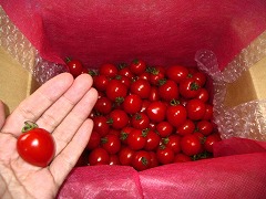 c0190010_20482042.jpg
