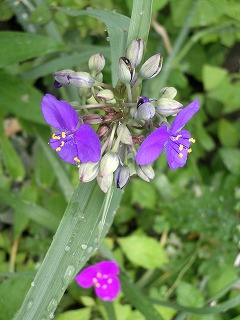 c0190010_2057071.jpg