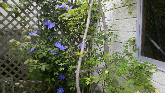 b0035611_20373273.jpg