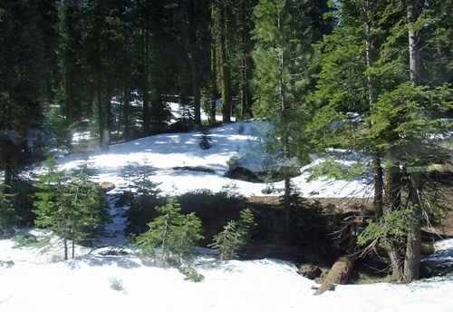 c0223117_20333580.jpg
