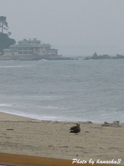 b0032921_041182.jpg