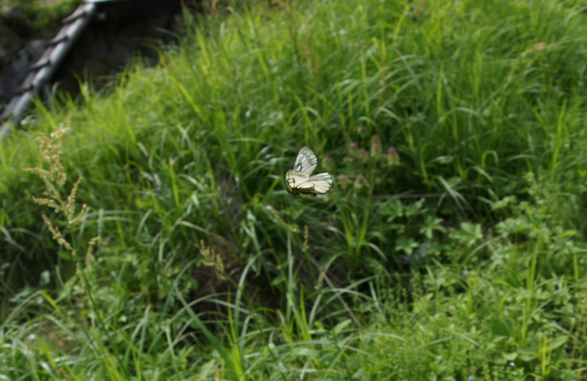 f0063624_22285289.jpg