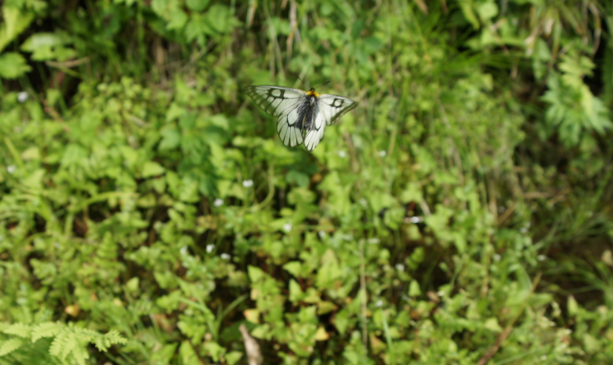 f0063624_2229336.jpg