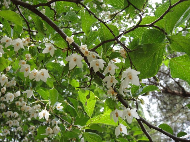 b0044825_9165573.jpg