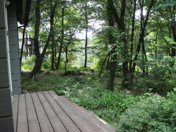 b0044825_9181255.jpg