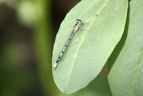 c0184125_2048511.jpg