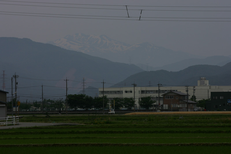 b0177233_58170.jpg