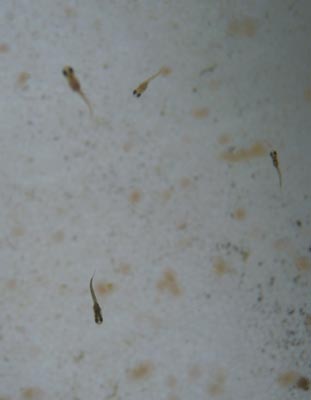 e0097534_16302551.jpg