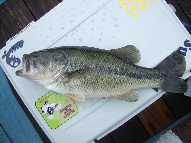 c0208836_21575959.jpg