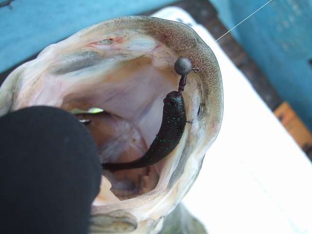 c0208836_2158230.jpg