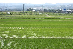 e0156339_237261.jpg