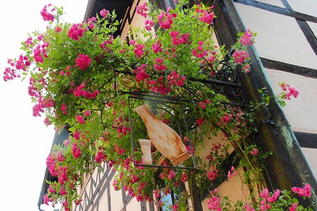 c0153740_1740194.jpg