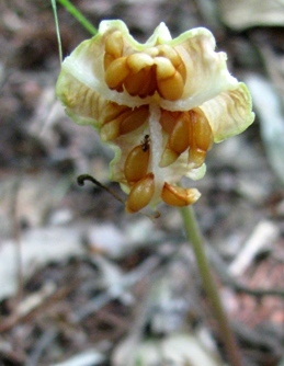 c0204740_20133671.jpg