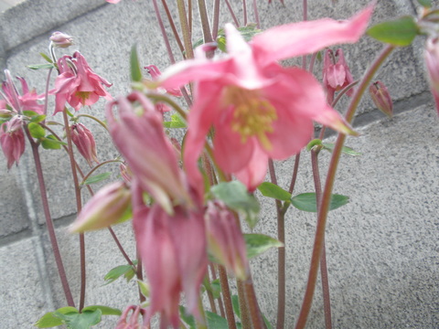 d0059240_003538.jpg