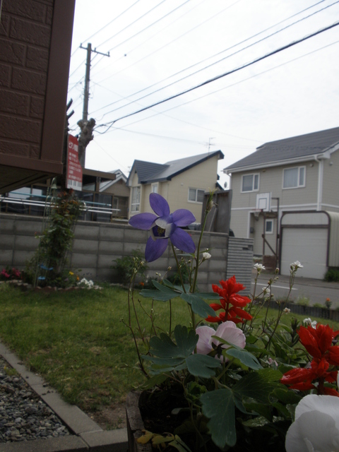 d0059240_005430.jpg
