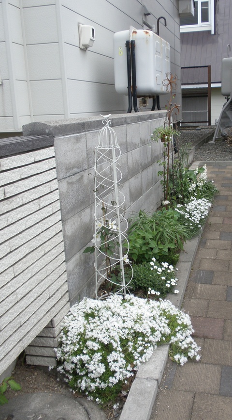 d0059240_023272.jpg