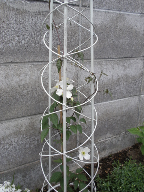 d0059240_024946.jpg