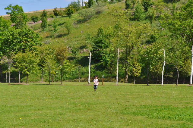 e0172842_1145452.jpg