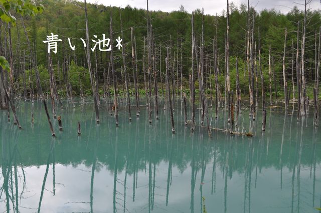 e0172842_11472857.jpg