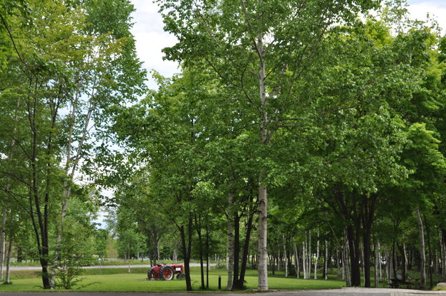 e0172842_11553018.jpg