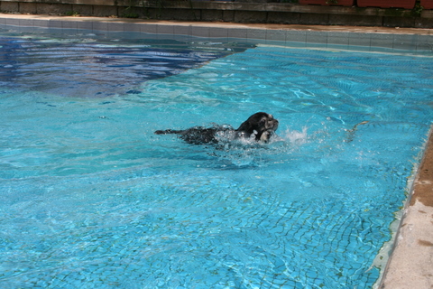 e0018143_1175562.jpg
