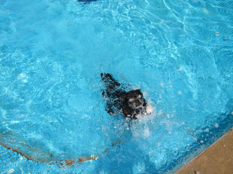 e0018143_1182656.jpg