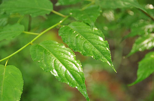 f0094843_10413974.jpg