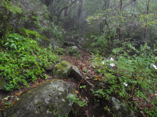 c0179351_1853713.jpg