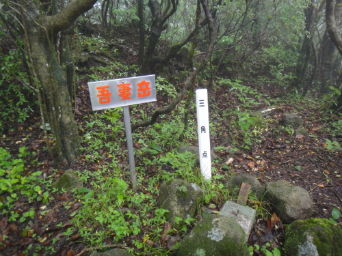 c0179351_1854363.jpg