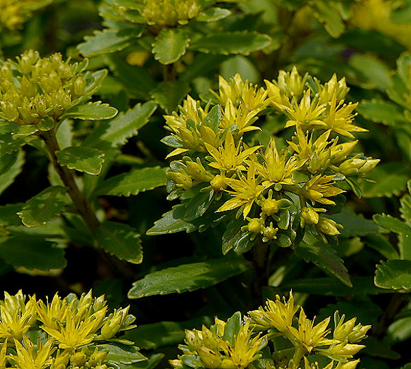 d0091754_13302084.jpg