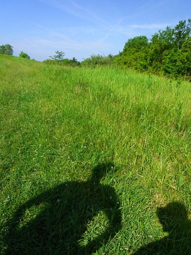 a0149356_120448.jpg