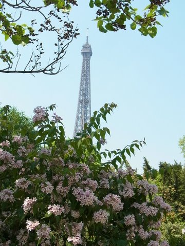 b0177957_0443159.jpg