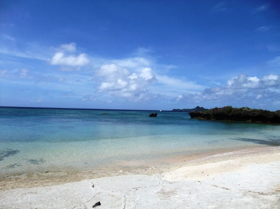 f0205857_1715354.jpg