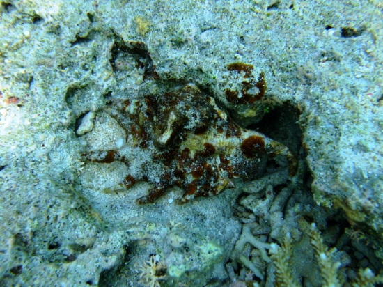 f0205857_17254062.jpg